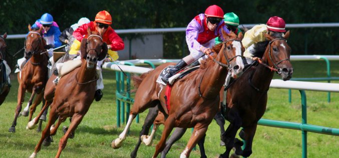 casino online e scommesse